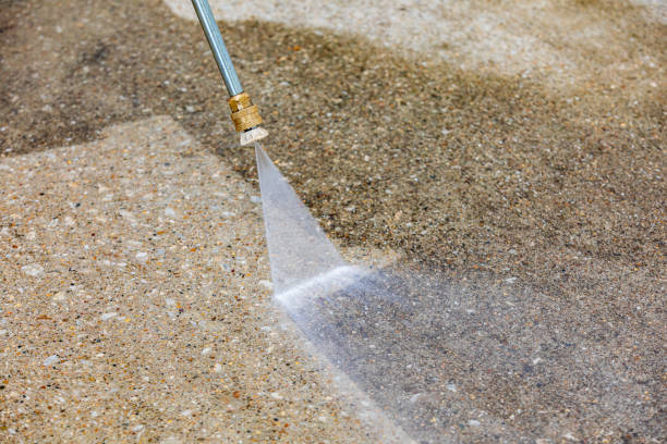 Boat and Dock Cleaning in Boulevard Park, WA
